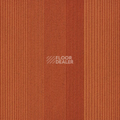 Ковровая плитка Interface Straightforward II 4268012 Pumpkin фото 1 | FLOORDEALER